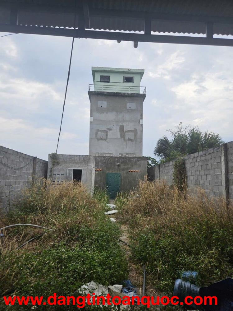 ĐẦU TƯ SINH LỜI - Chính Chủ Cần Bán Đất Mặt Tiền+ Nhà Nuôi Yến Tại Xuân Hiệp, Xuân Lộc, Đồng Nai