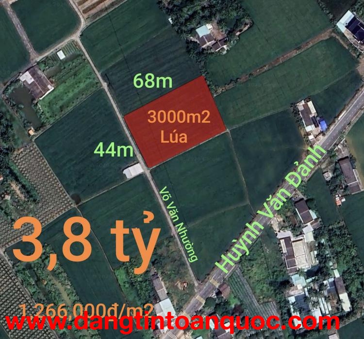 Bán đất lúa chuyển thổ xã Vàm Cỏ gần Quốc Lộ 50B giá 3,8 tỷ