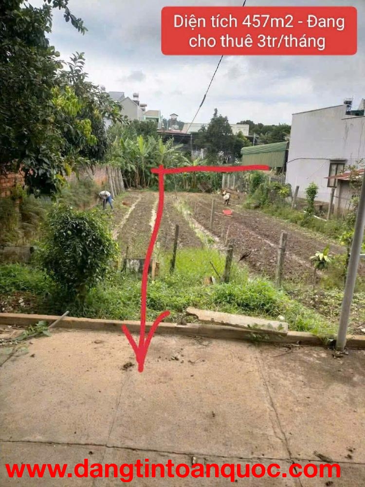 Bán nhà vườn 457m2 Phi nôm - hiệp thạnh - Đức Trọng - Lâm Đồng 2,6 tỷ