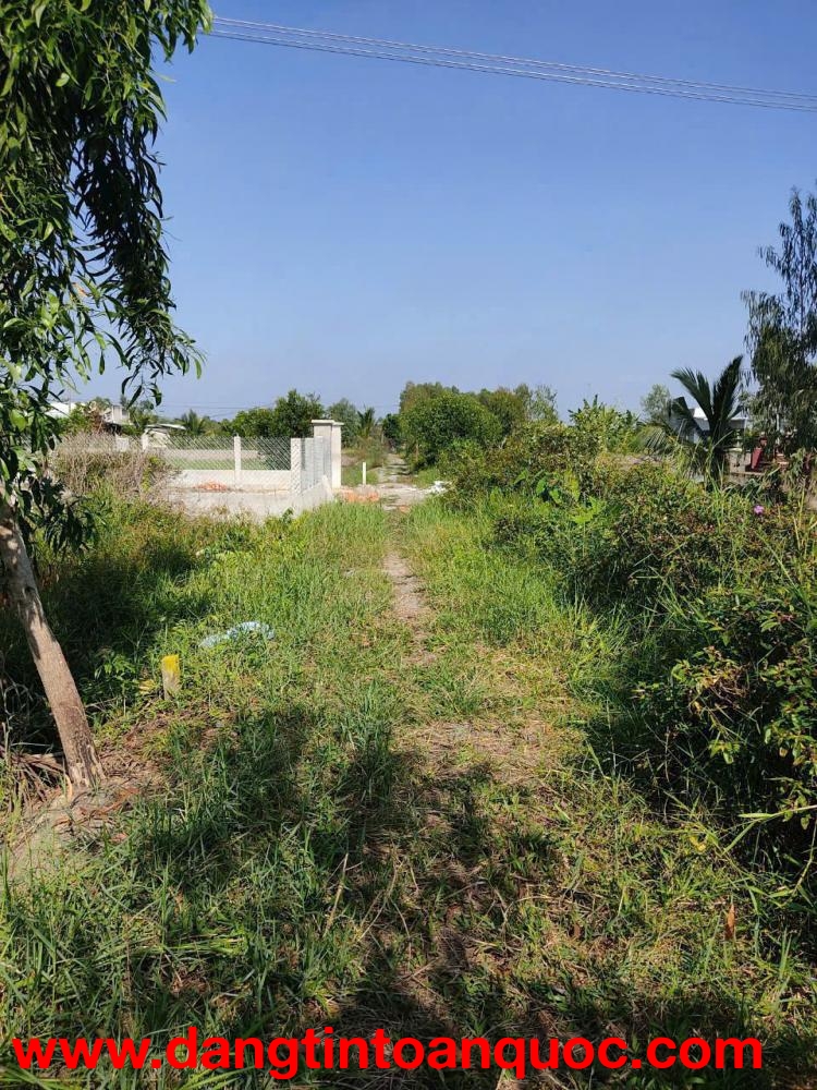 Bán Đất Xã Hòa Khánh Tây, Huyện Đức Hòa, Long An