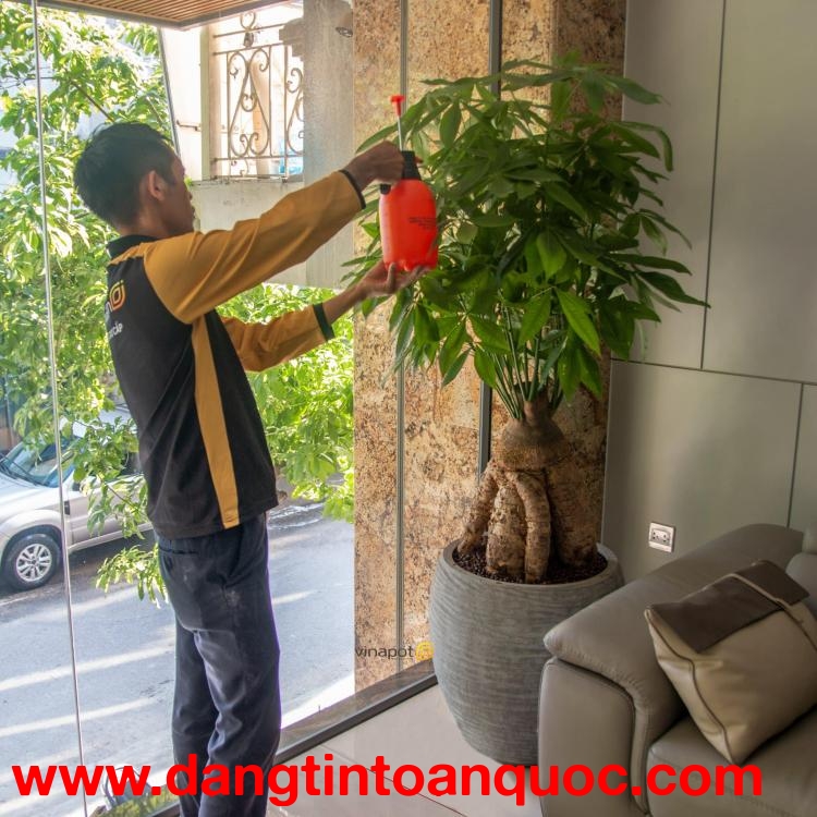 tìm hiểu về bể cá dáng cong cps sự lựa chọn tinh tế dành cho mọi nhà