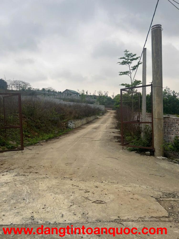 SỞ HỮU MẢNH ĐẤT ĐỒI THƠ MỘNG TẠI ĐỒNG BÈN – QUỐC OAI