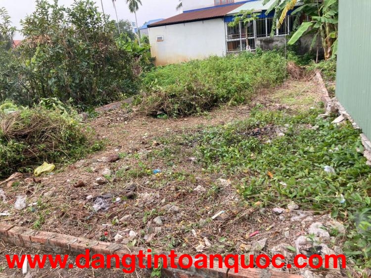 CẦN BÁN LÔ ĐẤT NGÕ 56 TRÀNG CÁT – HẢI AN, HẢI PHÒNG - GIÁ TỐT ĐẦU TƯ