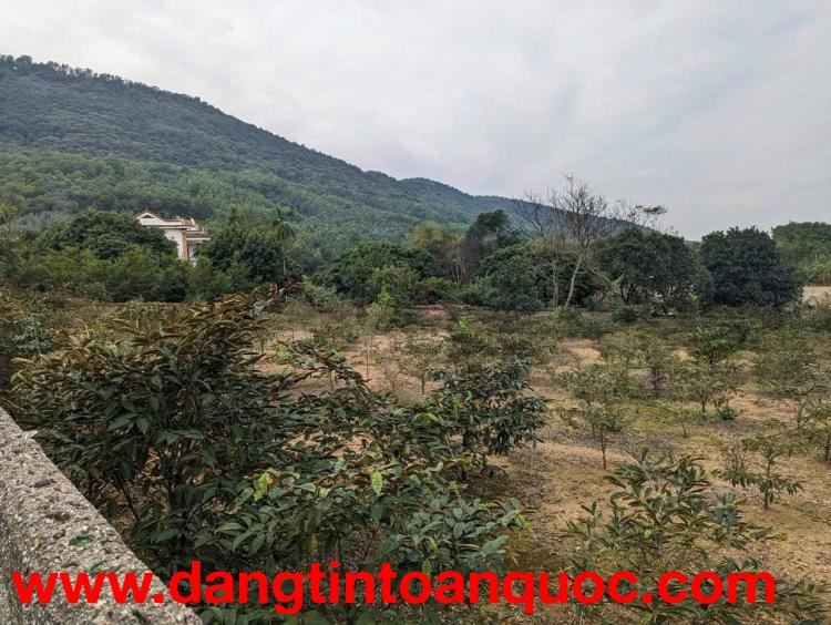 CƠ HỘI SỞ HỮU ĐẤT NGHỈ DƯỠNG VÀNG TẠI CÔN SƠN – KIẾP BẠC