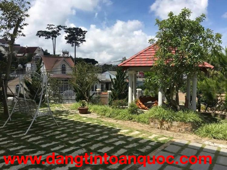 CHO THUÊ SÂN VƯỜN MỞ QUÁN KINH DOANH – NGUYỄN AN NINH, PHƯỜNG 6, ĐÀ LẠT, TỈNH LÂM ĐỒNG
