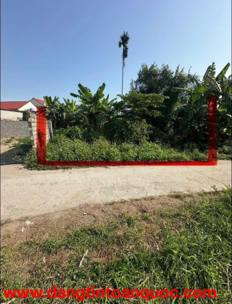 Lô Đất 203m2 Ngang 8m Nở Hậu Tuyến 2 Đường 402 - ZALO 0567 222 555