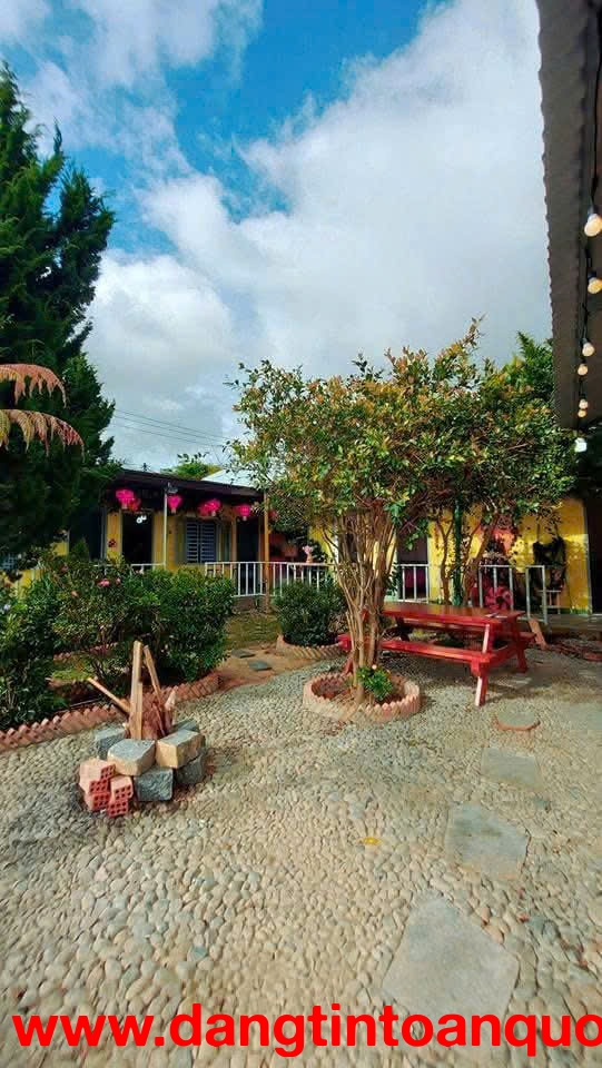 CHO THUÊ HOMESTAY SÂN VƯỜN _ P.8 ĐÀ LẠT _ CÁCH HỒ 100M