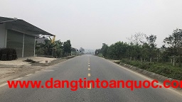 CHO THUÊ 3 LÔ ĐẤT MẶT ĐƯỜNG LIÊN VÙNG – PHÚ THỌ  VỊ TRÍ ĐẸP GẦN KCN