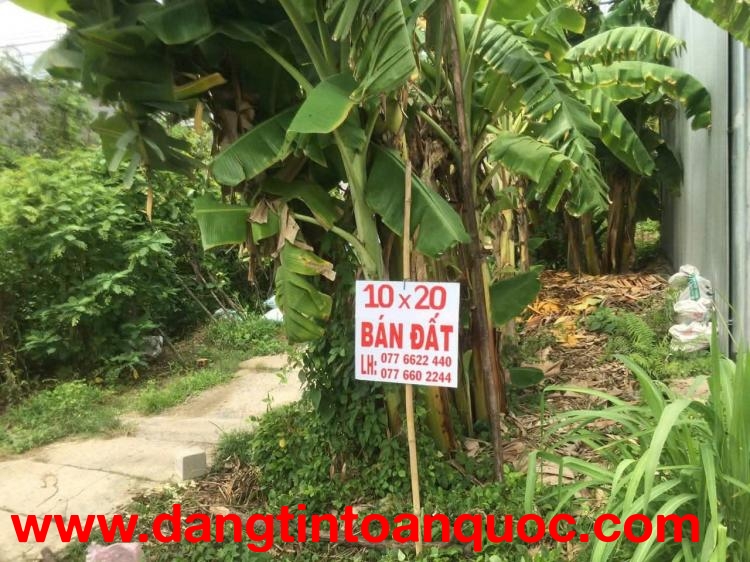 ĐẦU TƯ SINH LỜI - Bán GẤP Lô Đất Tiềm Năng Tại xã Mỹ An-huyện Mang Thit-Tỉnh Vĩnh Long