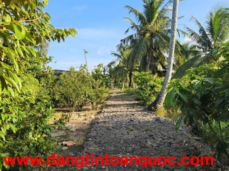 BÁN ĐẤT ĐẸP – SỔ HỒNG RIÊNG – GIÁ TỐT.