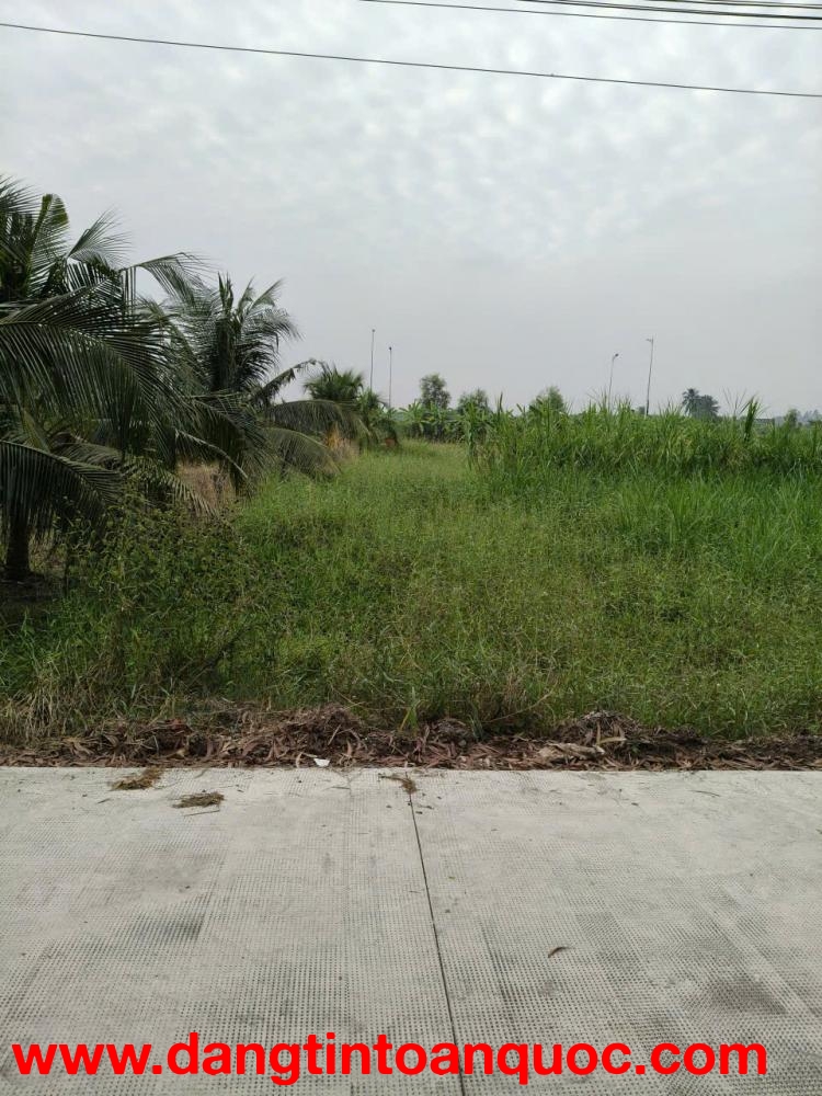 Cần bán lô đất thổ cư mặt tiền đường đan bờ kênh N3, Phường Tân Khánh, Thành Phố Tân An, Long An(Cũ)