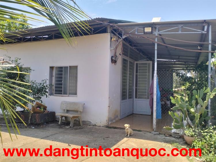 Chính Chủ Bán ĐẤT TẶNG NHÀ Địa Chỉ Xã Bảo Quang, TP Long Khánh, Đồng Nai