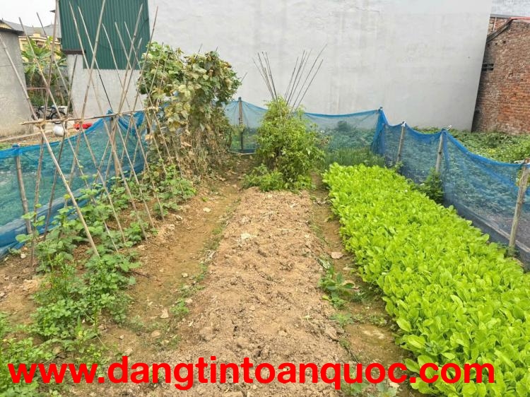 Bán 82m đất Tam Đồng, Mê Linh, HN. Đất vuông vắn, full thổ cư. Mặt tiền rộng