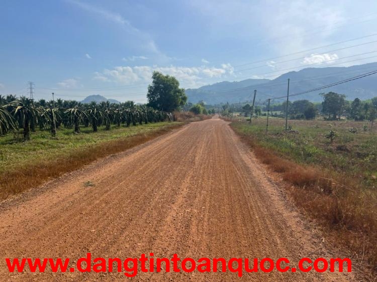 Bán 1448m2 đất thổ cư Tân Nghĩa - Hàm Tân View đẹp giá rẻ 950 triệu