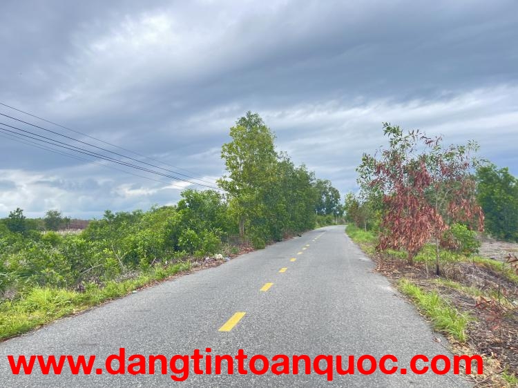 Bán 1000m2 đất ODT Mặt tiền Lê Quang Định - Tân Bình - LaGi gần biển giá mềm