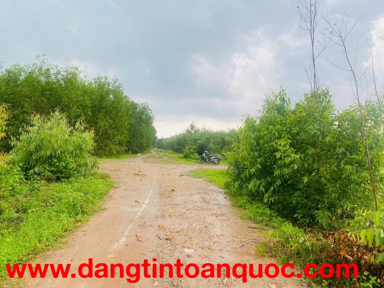 Bán 2.5 sào đất lô góc 2 mặt đường số 8 - Tân Hà - Hàm Tân giá ngộp 33tr/m ngang