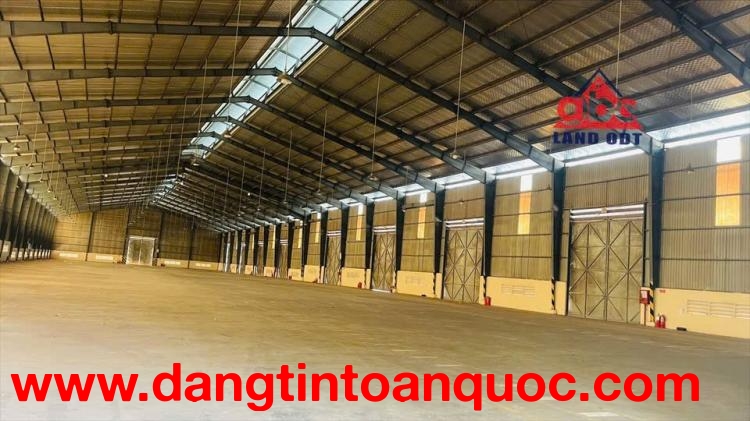 XN128 cho thuê kho lưu hàng, khung thép tiền chế, phù hợp vận hành loigistic