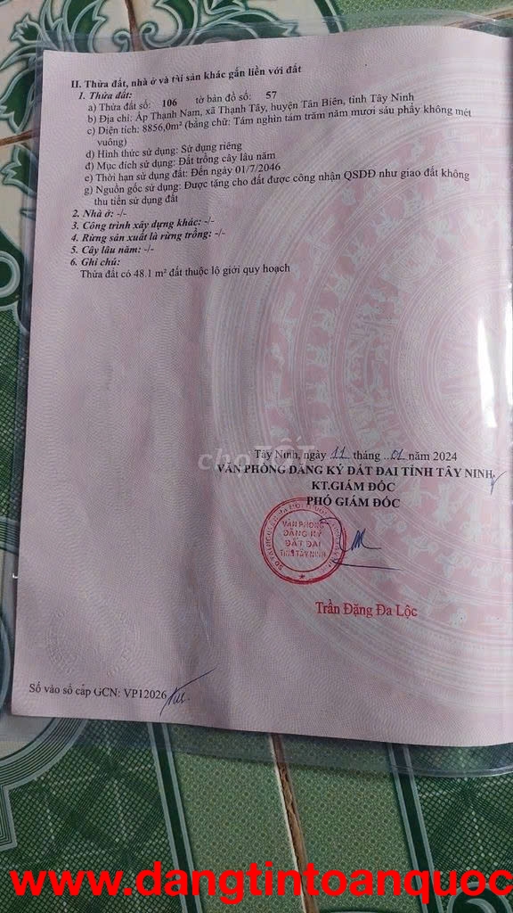 Chính Chủ Cần Bán Đất Trông Cao Su Lâu Năm Đường Số 46, Xã Thạnh Tây, Huyện Tân Biên, Tây Ninh