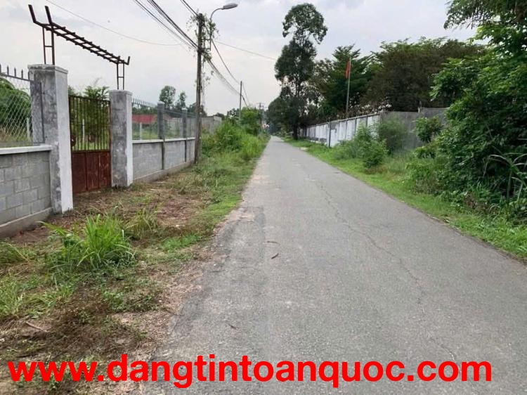 2 LÔ ĐẤT DIỆN TÍCH ĐẸP ĐƯỜNG NHỰA – PHẠM VĂN CỘI, CỦ CHI – GIÁ TỐT