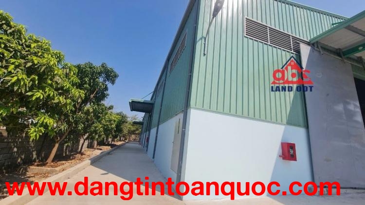 XT060 cho thuê nhà xưởng sản xuất kiên cố, thích hợp đầu tư nhiều ngành nghề.