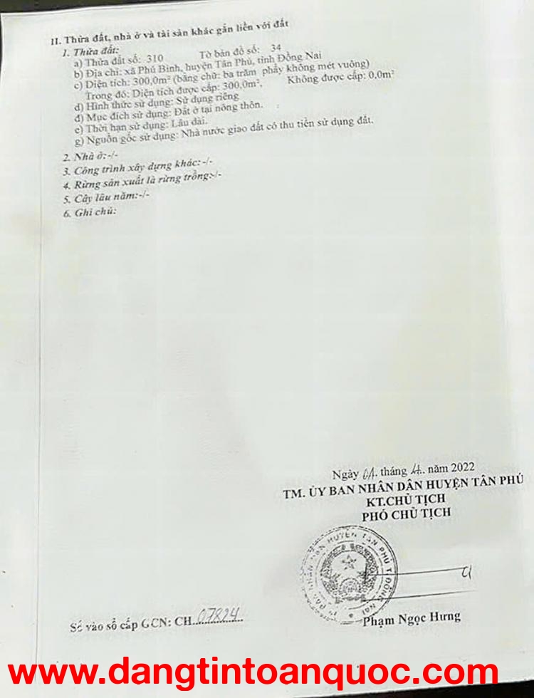 Chính Chủ Bán 300m2 Đất Full Thổ Cư Tại Xã Phú Bình, Huyện Tân Phú, Đồng Nai