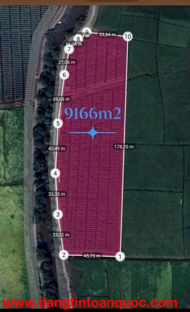 QUỸ ĐẤT LỚN 9.116M² – SÁT VINHOMES 924HA – TÂN THỚI NHÌ, HÓC MÔN