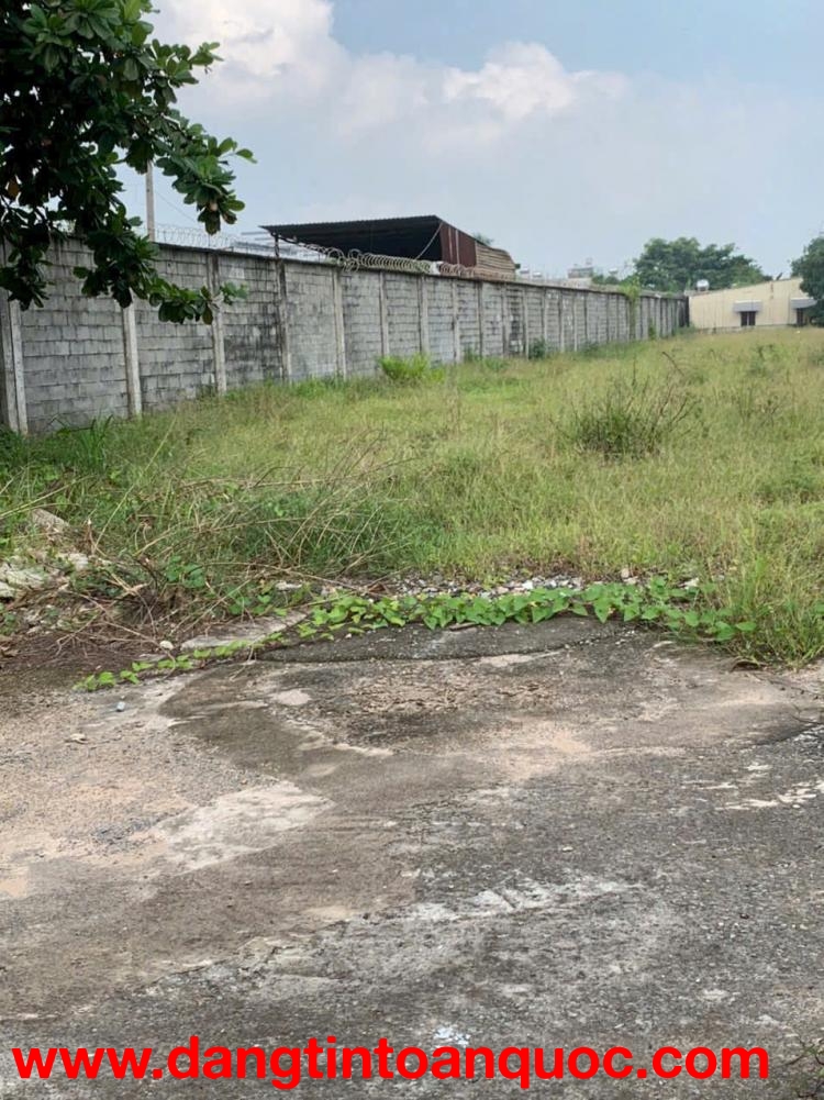 QUỸ ĐẤT 1HA MẶT TIỀN TÔ KÝ 12 – NGANG 39M – HÓC MÔN GIÁ ĐẦU TƯ CHỦ GẤP BÁN