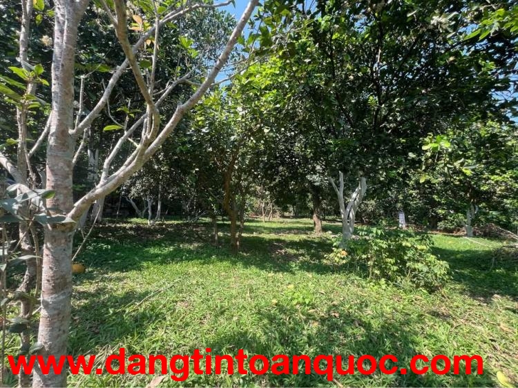 Bán lô đất 4860m2 ( 450m2 thổ cư) Tại phường Thống Nhất -  Hoà Bình ( nay là Tỉnh Phú Thọ)