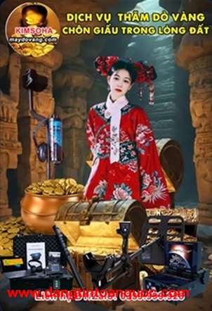  DỊCH VỤ KHẢO SÁT - THĂM DÒ VÀNG CHÔN GIẤU