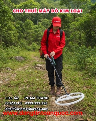 CHO THUÊ MÁY DÒ KIM LOẠI TRONG LÒNG ĐẤT