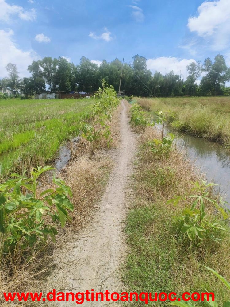 CẦN BÁN 4789M2 ĐẤT LÚA GIÁ ĐẦU TƯ HẺM XE MÁY