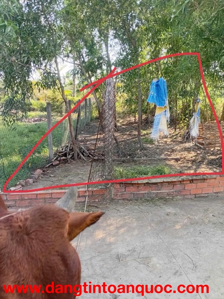 BÁN ĐẤT GẦN CHỢ TUA HAI - VỊ TRÍ ĐẸP - HUYỆN CHÂU THÀNH - TÂY NINH