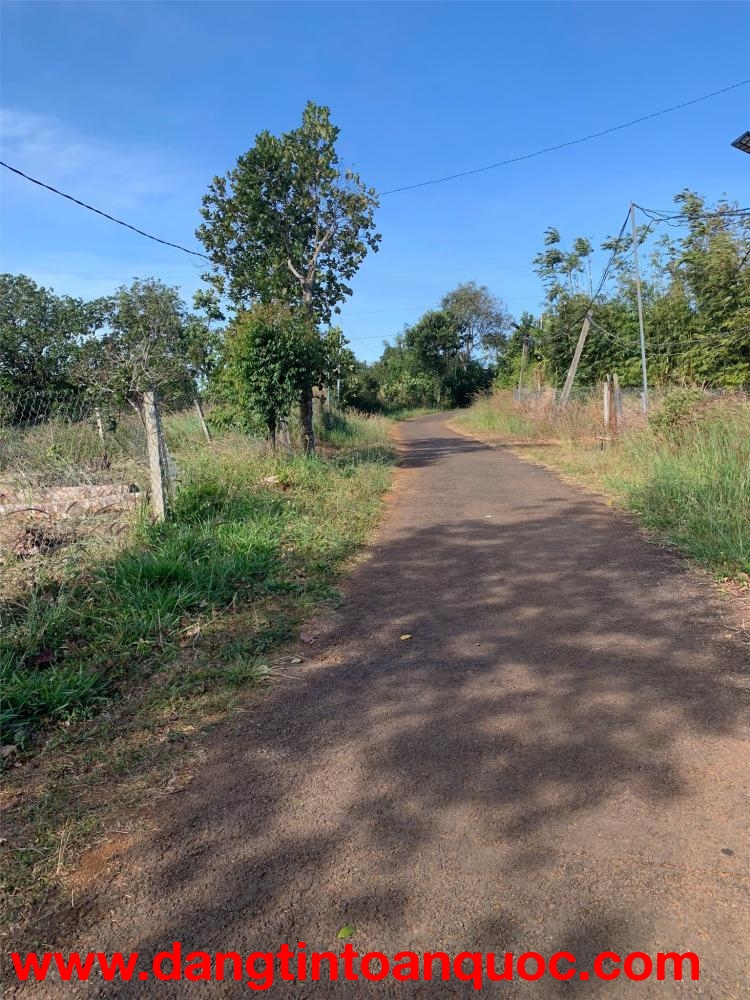 ĐẤT ĐẸP – GIÁ ĐẦU TƯ –CẦN BÁN ĐẤT TẠI TDP Dân Tiến, P. Quãng Thành, Gia Nghĩa, Đắk Nông