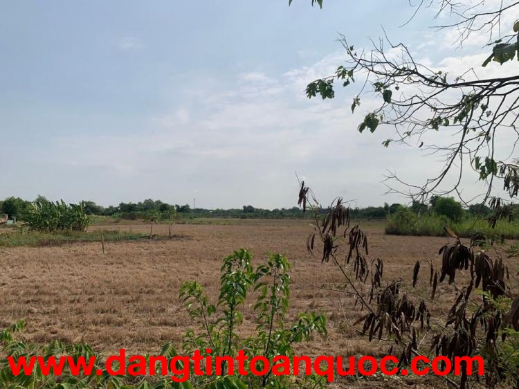 Đất Mặt Tiền - Hưng Long, Đa Phước, Bình Chánh 15000m² Chỉ  70 Tỷ,