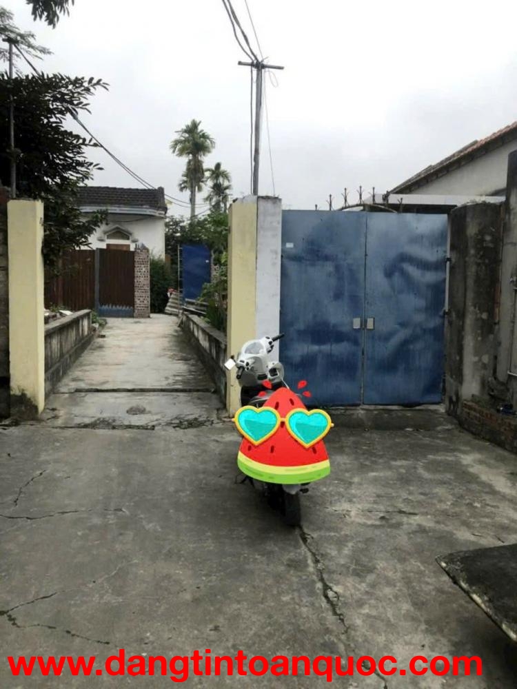 Bán lô đất 87.5m2 Thuộc TDP 8 Mỹ Đồng, Ngũ Lão - Phường Bạch Đằng - Hải Phòng.