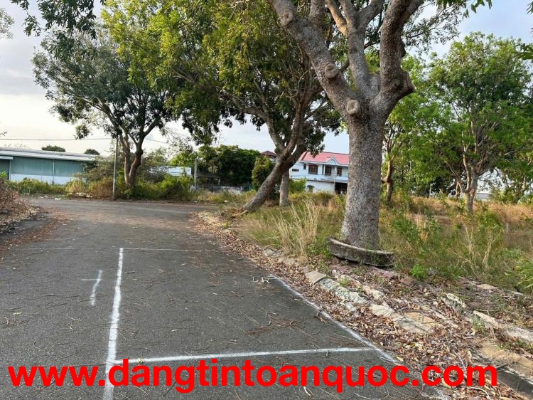 VỊ TRÍ ĐẸP - GIÁ TỐT - BÁN ĐẤT THỔ CƯ LONG ĐIỀN – LONG ĐẤT -  Bà Rịa Vũng Tàu