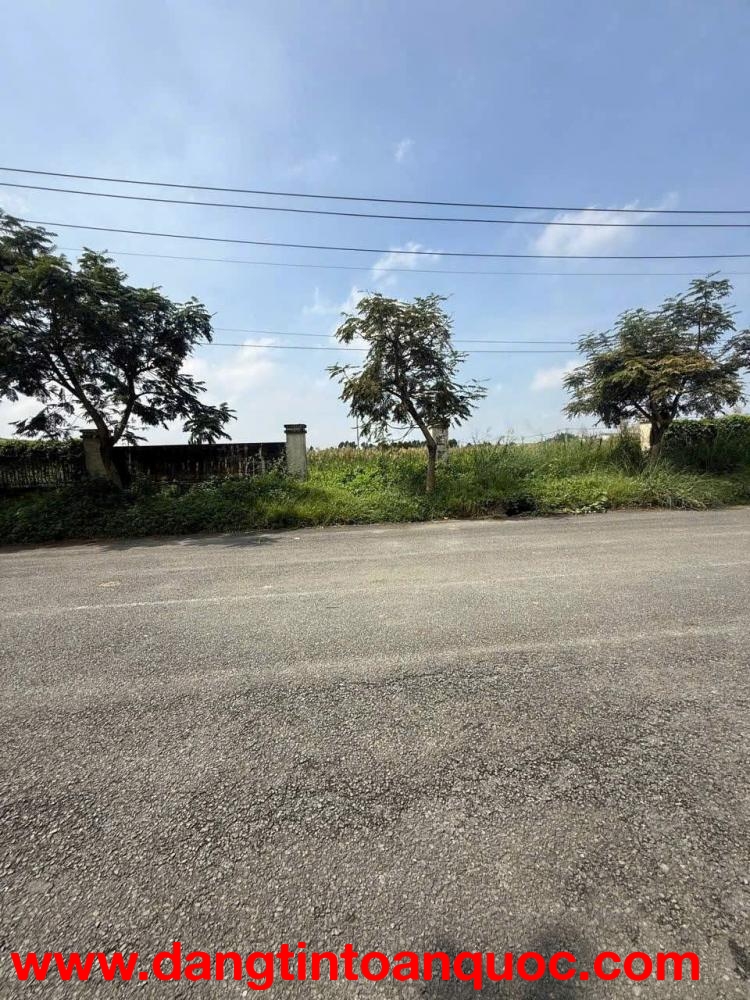 HOT ĐẤT SKC MẶT TIỀN CONTAINER – CỤM KCN NHỊ XUÂN – 7.700M²