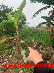 ► BÁN ĐẤT GIÁ TỐT – SỔ ĐỎ CHÍNH CHỦ