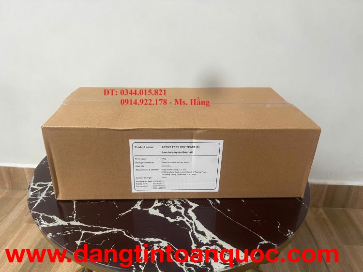 Nấm men Saccharmyces Boulardii, hỗ trợ tiêu hóa cho vật nuôi