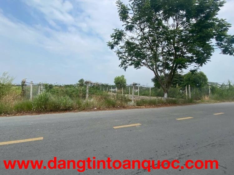 BÁN ĐẤT MẶT TIỀN ĐƯỜNG TAM THÔN HIỆP – CẦN GIỜ, TP.HCM