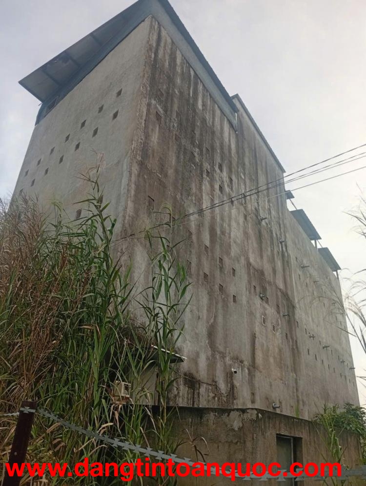 ???? BÁN ĐẤT + NHÀ YẾN – XÃ BÌNH KHÁNH, CẦN GIỜ, TP.HCM