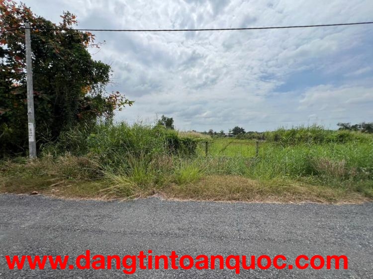 BÁN ĐẤT MẶT TIỀN ĐƯỜNG RỪNG SÁC – BÌNH KHÁNH, CẦN GIỜ, TP.HCM