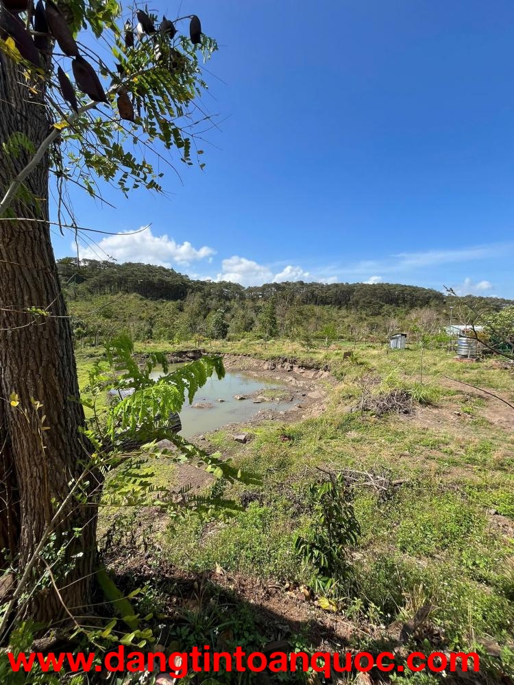 Cần bán hoặc cho thuê lô đất rộng 3 mặt tiền Tại Mai Thị Lựu, P Ea Tam, TpBuôn Ma Thuột, Đắk Lắk