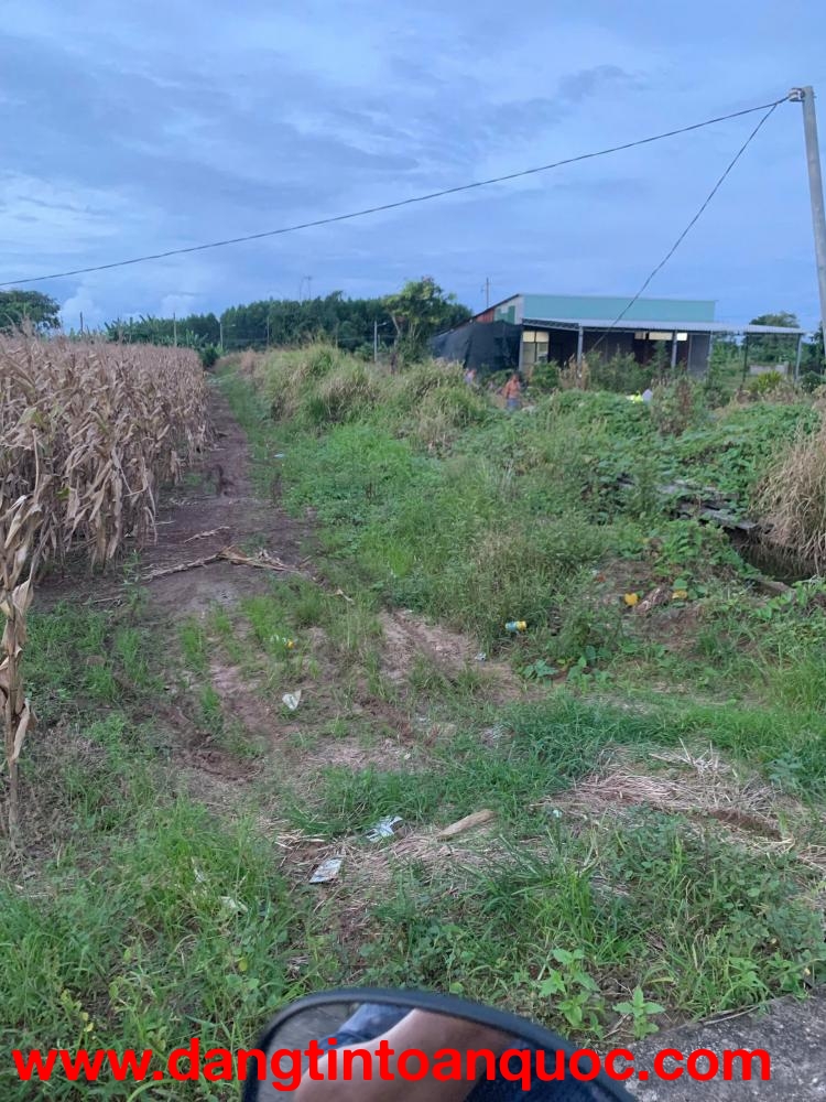 BÁN 4761m2 ĐẤT XÃ LÁNG DÀI, NGAY CHỢ LÁNG DÀI, HUYỆN ĐẤT ĐỎ BÀ RỊA (NAY LÀ XÃ ĐẤT ĐỎ - HCM)