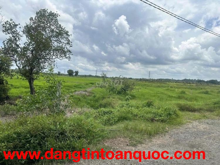 ĐẤT ĐẸP–GIÁ TỐT–CHÍNH CHỦ BÁN GẤP LÔ ĐẤT 2 MẶT TIỀN đường Hồ Thị Búng, Tân Thạnh Tây, Củ Chi, TP.HCM