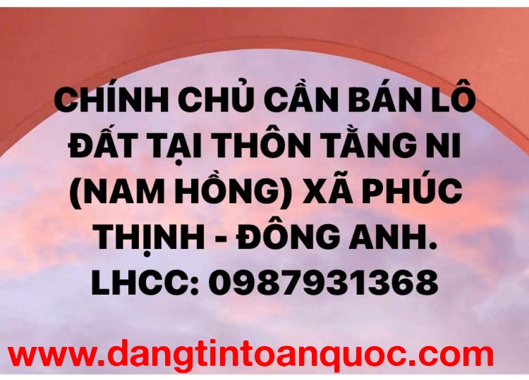 CẦN BÁN LÔ ĐẤT TẠI THÔN TẰNG NI (NAM HỒNG) XÃ PHÚC THỊNH, ĐÔNG ANH, HÀ NỘI