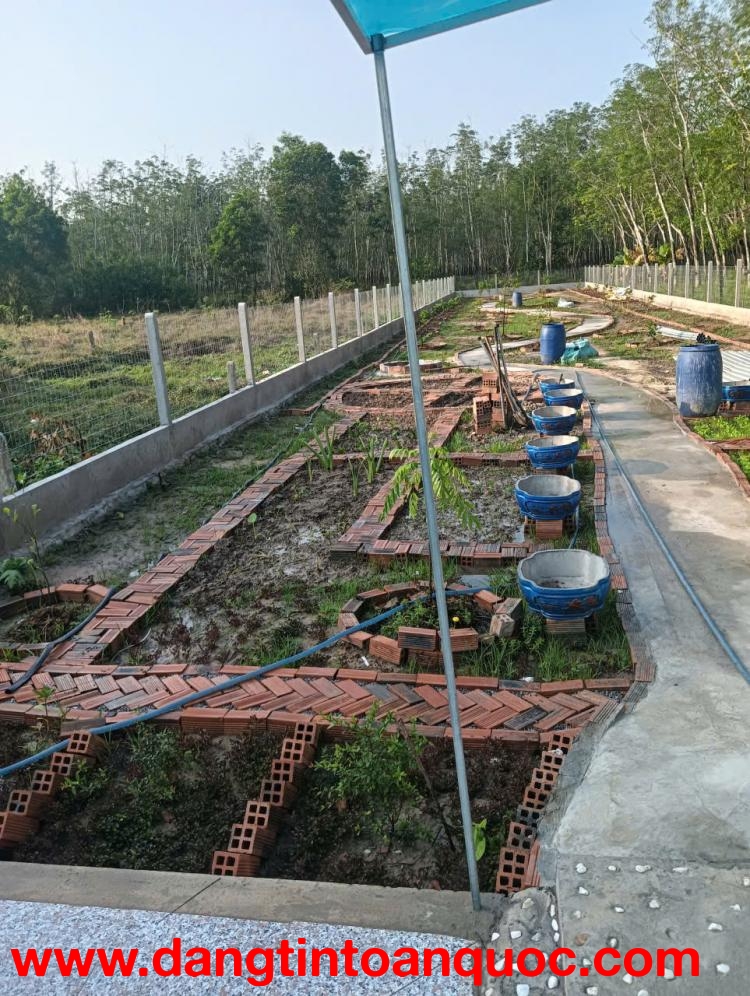 Bán gấp đất nghỉ dưỡng full tiện ích – gần Trường THCS Định An, Dầu Tiếng, Bình Dương