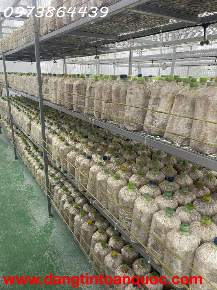 BÁN ĐẤ-  TẶNG XƯỞNG NẤM - PIN NĂNG LƯỢNG MẶT TRỜI MẶT TIỀN KINH DOANH - TẠI CỦ CHI - NGANG 18M - 230