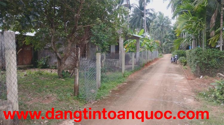 ĐẤT ĐẸP – GIÁ TỐT –CHÍNH CHỦ CẦN BÁN ĐẤT đường trần tôn thất, hoài xuân, thị xã hoài nhơn, bình định