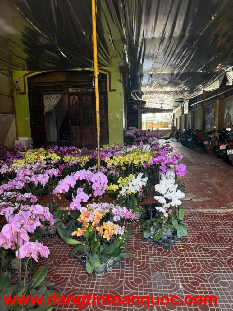 CHO THUÊ MẶT BẰNG KINH DOANH TẠI GIA LAI